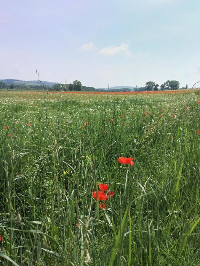 Monte Lopio Bio Agriturismo Pratini المظهر الخارجي الصورة