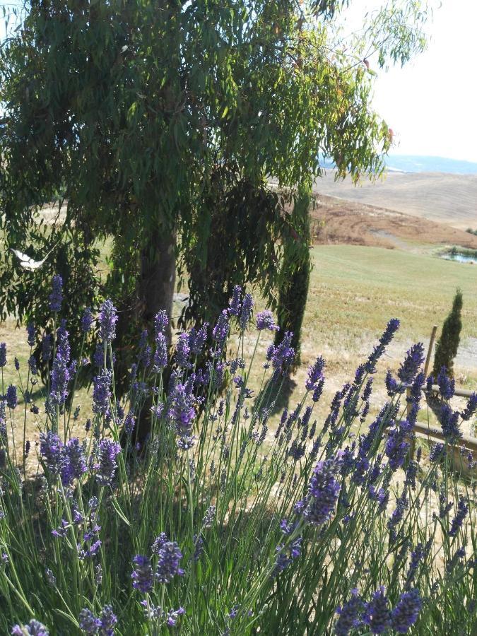 Monte Lopio Bio Agriturismo Pratini المظهر الخارجي الصورة