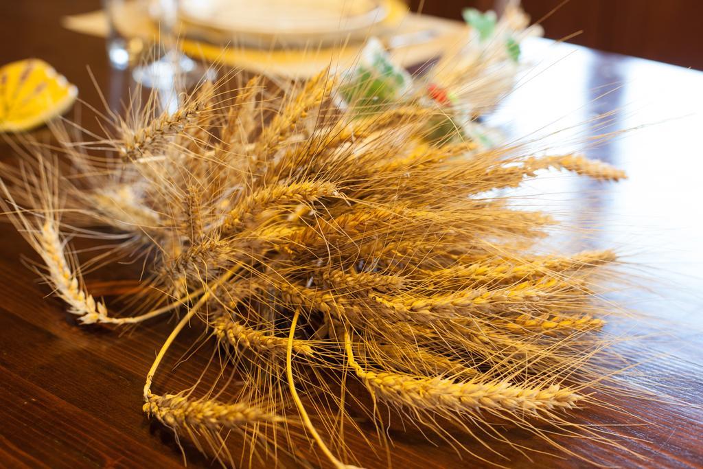 Monte Lopio Bio Agriturismo Pratini المظهر الخارجي الصورة