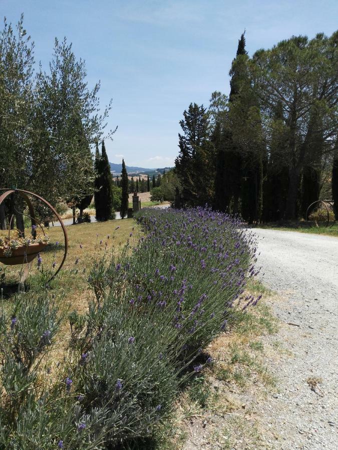 Monte Lopio Bio Agriturismo Pratini المظهر الخارجي الصورة