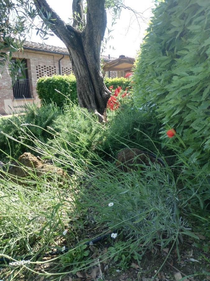 Monte Lopio Bio Agriturismo Pratini المظهر الخارجي الصورة